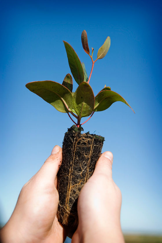 IMAGE INTERNATIONAL TAKES REAL CLIMATE ACTION WITH GREENFLEET