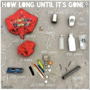 How Long until its GONE