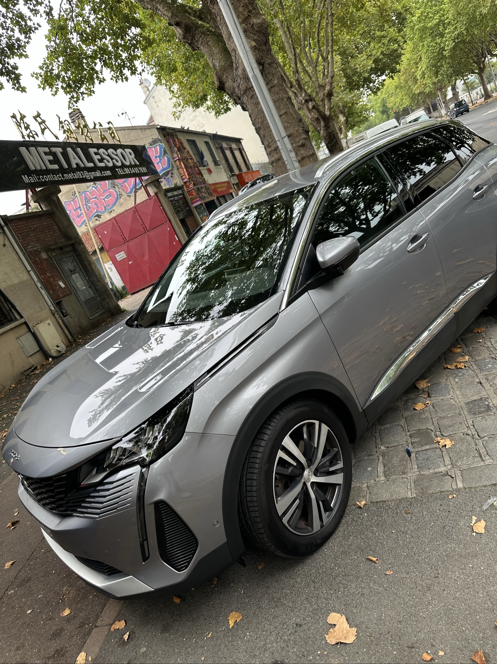 Peugeot 3008 SUV Gris