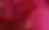 nathalie-sundfeld-X-iF3k9374Q-unsplash_edited_edited_edited_edited_edited_edited_edited_ed