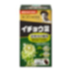 Thumbnail: This is an image of the box for Noguchi Research Institute's product "Ginkgo Biloba"