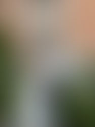 Morgan & Charlie at Canfield Casino