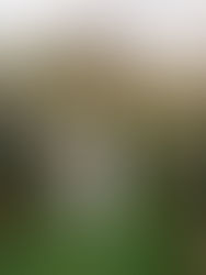 Haley & Dylan at The Henson