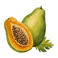 papaia