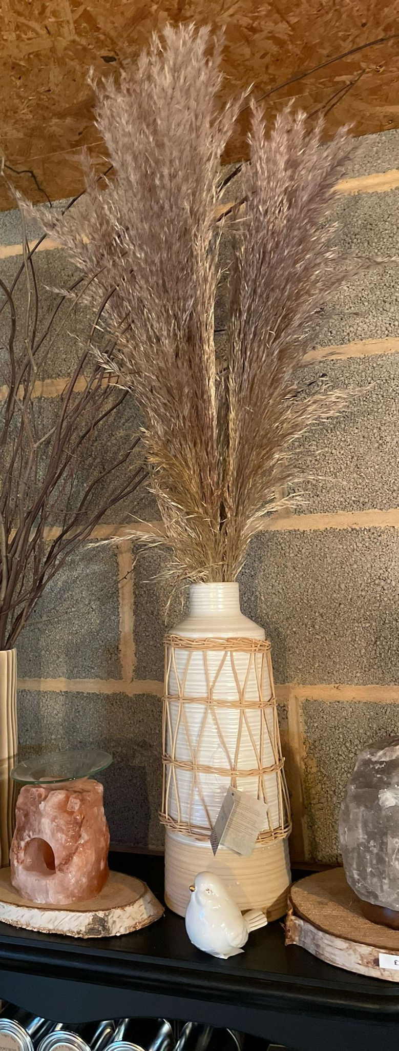 pampas grass