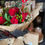 Thumbnail: Red Roses and Brownies