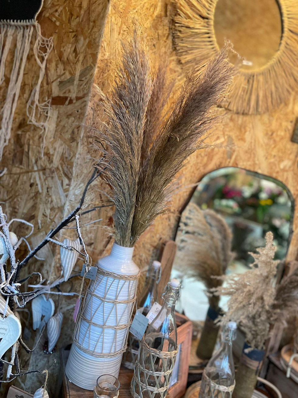dried flowers in vase