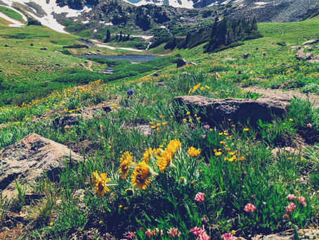 Embracing Nature: How Art Can Connect Us to the Natural World