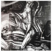 Inspiration - Hervé by Céline Marie