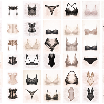 A Visual Lingerie Glossary: A Complete Visual Guide to Women’s Lingerie Styles & Terms, from bras, tops, briefs to one pieces, bodysuits, hosiery and accessories.