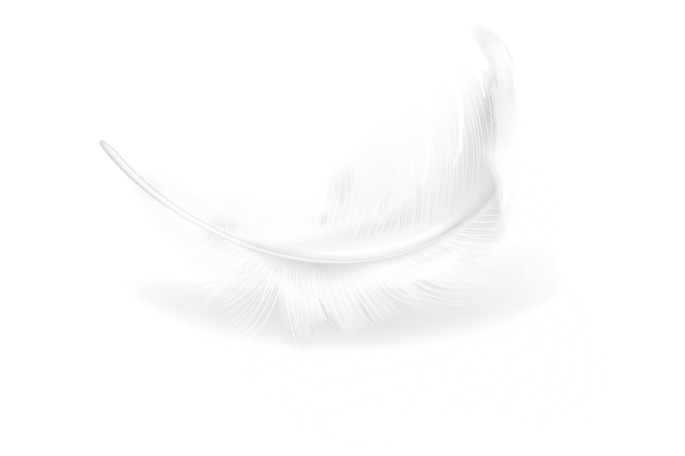 SOMBRA ANGEL PLUMA.png