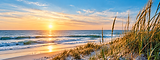 Golden Sunrise Over Coastal Dunes.png