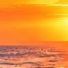 Surfing Into the Golden Sunset.png