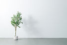 AdobeStock_321977332.jpeg