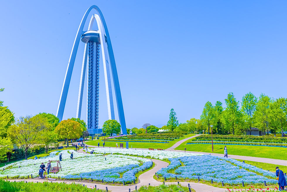AdobeStock_429793669.jpg