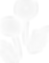 たんぽぽ