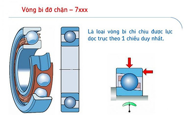Vòng bi đỡ chặn 7xxx