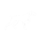 Pointer Dog (White).png