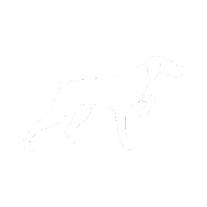 Pointer Dog (White).png