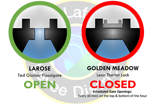Larose Open_GM Closed-S.png
