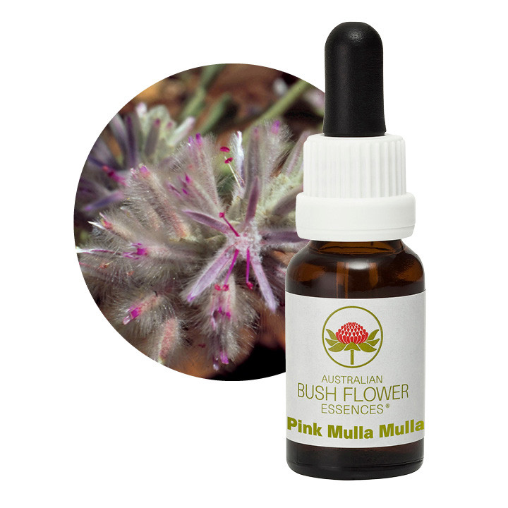 Pink Mulla Mulla Remedy 30ml
