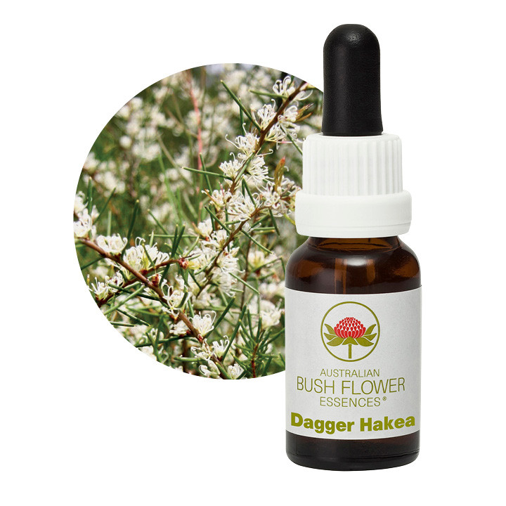 Dagger Hakea Remedy 30ml