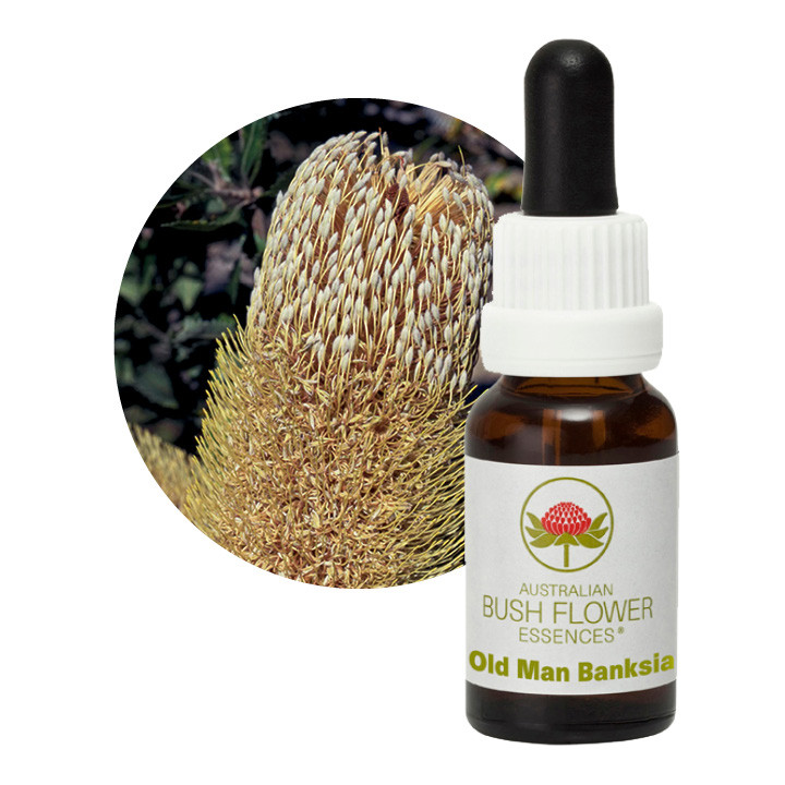 Old Man Banksia Remedy 30ml