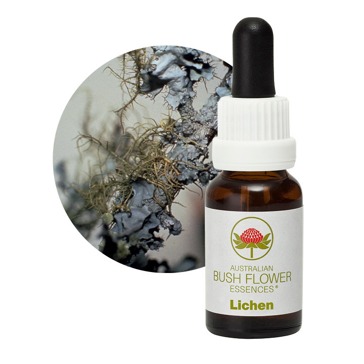 Lichen Remedy 30ml