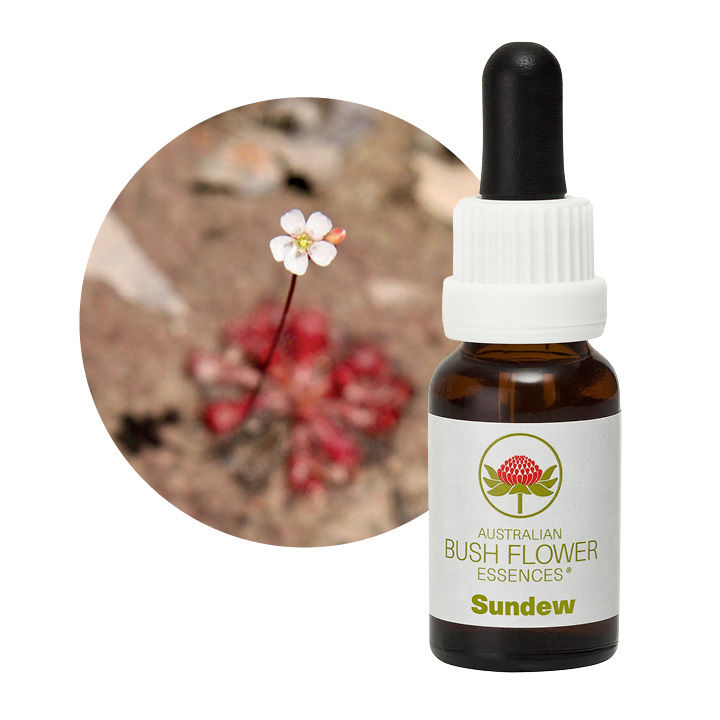 Sundew Remedy 30ml