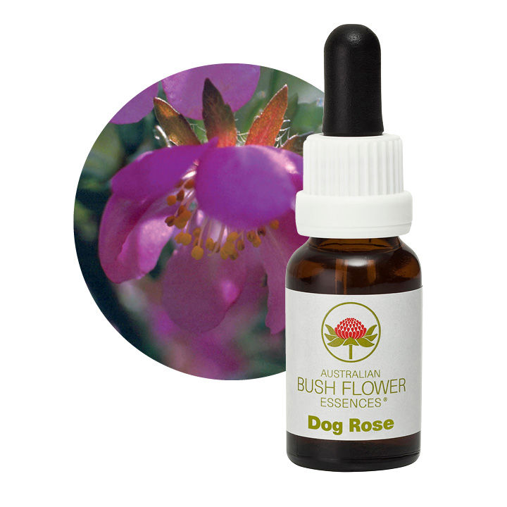 Dog Rose Remedy 30ml
