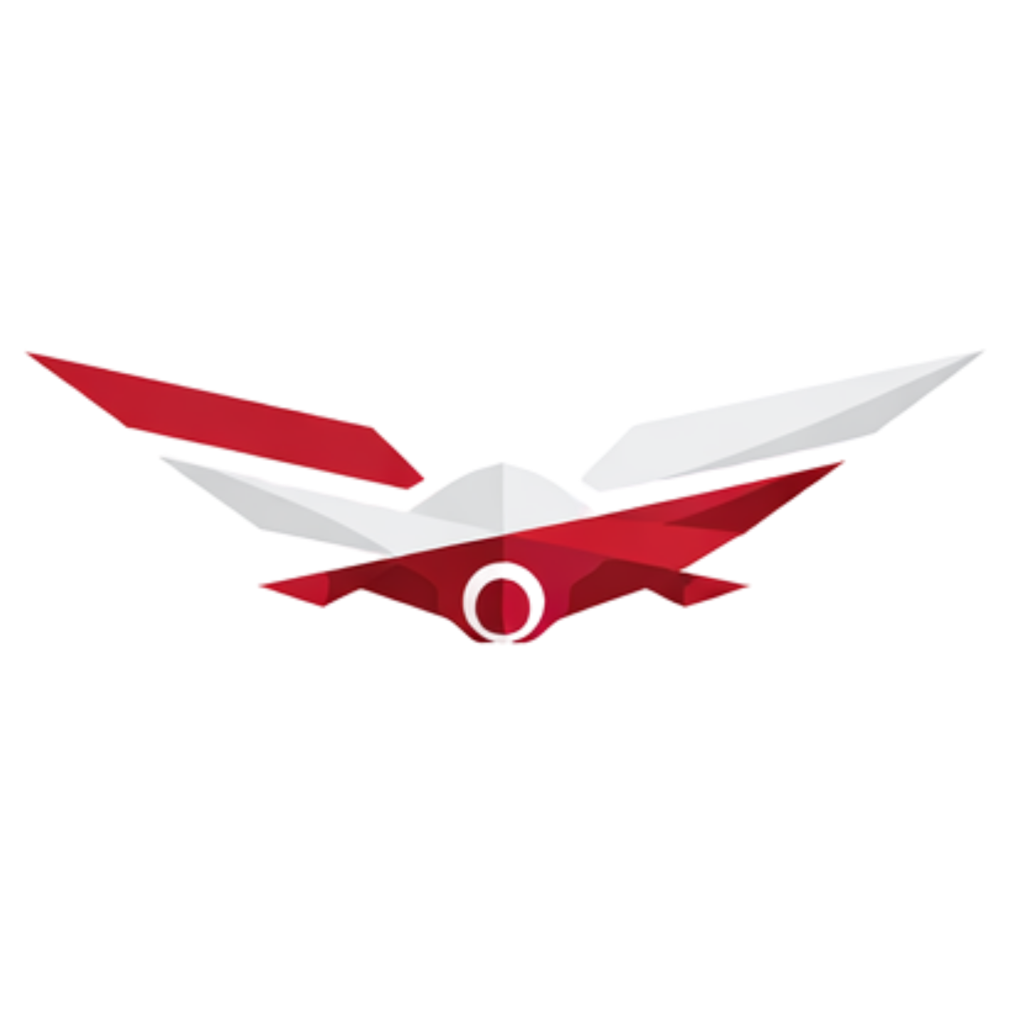 Zdjęcie autora: Polish Drone Alliance