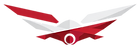 polish drone alliance - logo-2.png