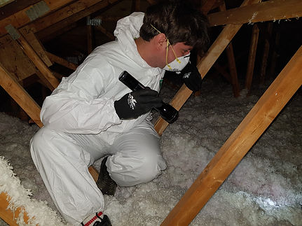Attic Assessment For Removal