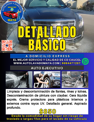 Detallado básico auto ejecutivo