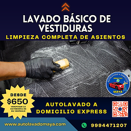SERVICIO lavado básico vestiduras.png