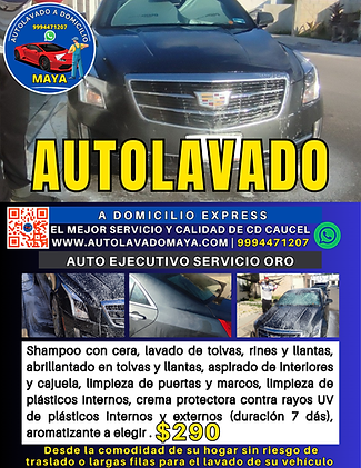 Publicidad auto ejecutivo servicio Oro.png