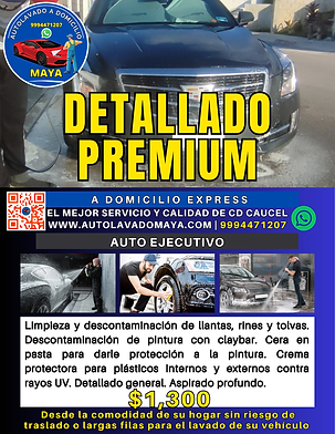 Detallado Premium auto ejecutivo 1.png