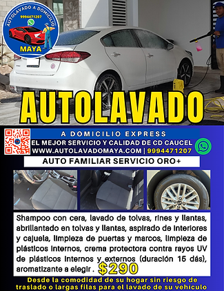 Publicidad auto familiar servicio oro +.png