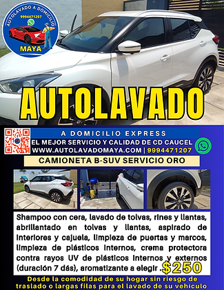 publicidad camioneta B-SUV servicio oro.png