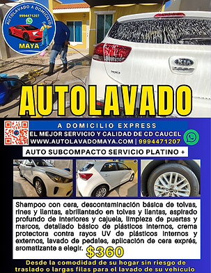 Publicidad auto subcompacto servicio platino +.png