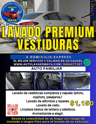 Lavado premium vestiduras auto familiar.png