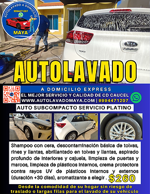 Publicidad auto subcompacto servicio platino.png