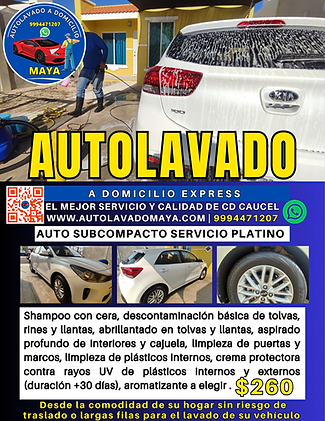 Publicidad auto subcompacto servicio platino.png