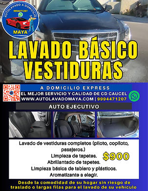 lavado interiores auto ejecutivo.png
