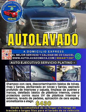 Publicidad auto ejecutivo servicio Platino +.png