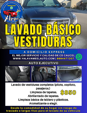 lavado interiores auto ejecutivo