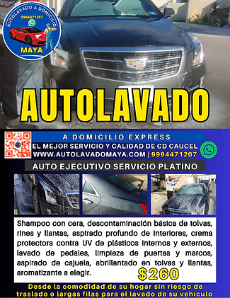Publicidad auto ejecutivo servicio Platino