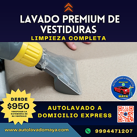 SERVICIO lavado vestiduras PREMIUM.png