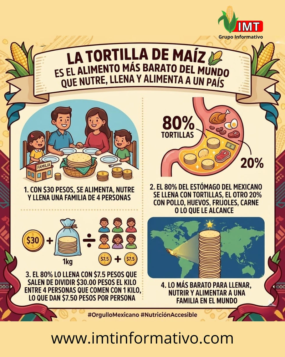 La Tortilla de Maíz: El Alimento Más Barato del Mundo que Nutre, Llena y Alimenta a un País