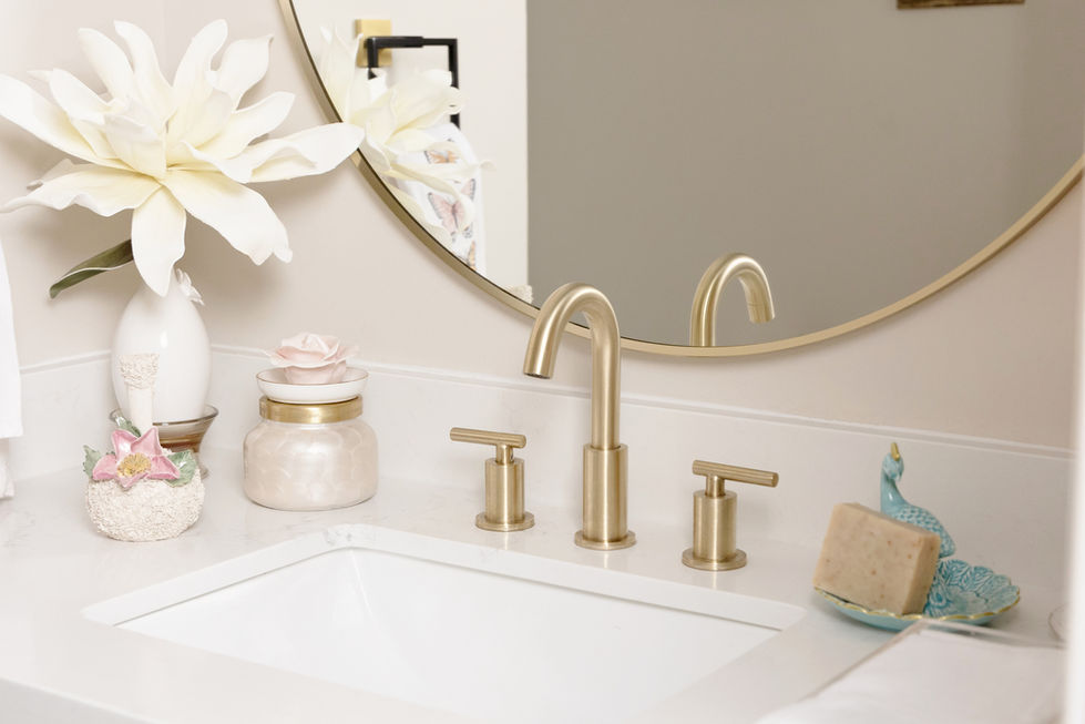 Portfolio, powder bath, black cabinets, interior design, iced tulips interiors, lilac living